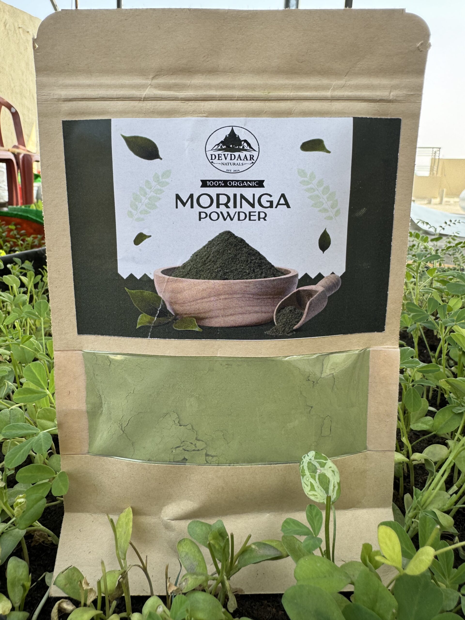 Moringa Leaf Powder