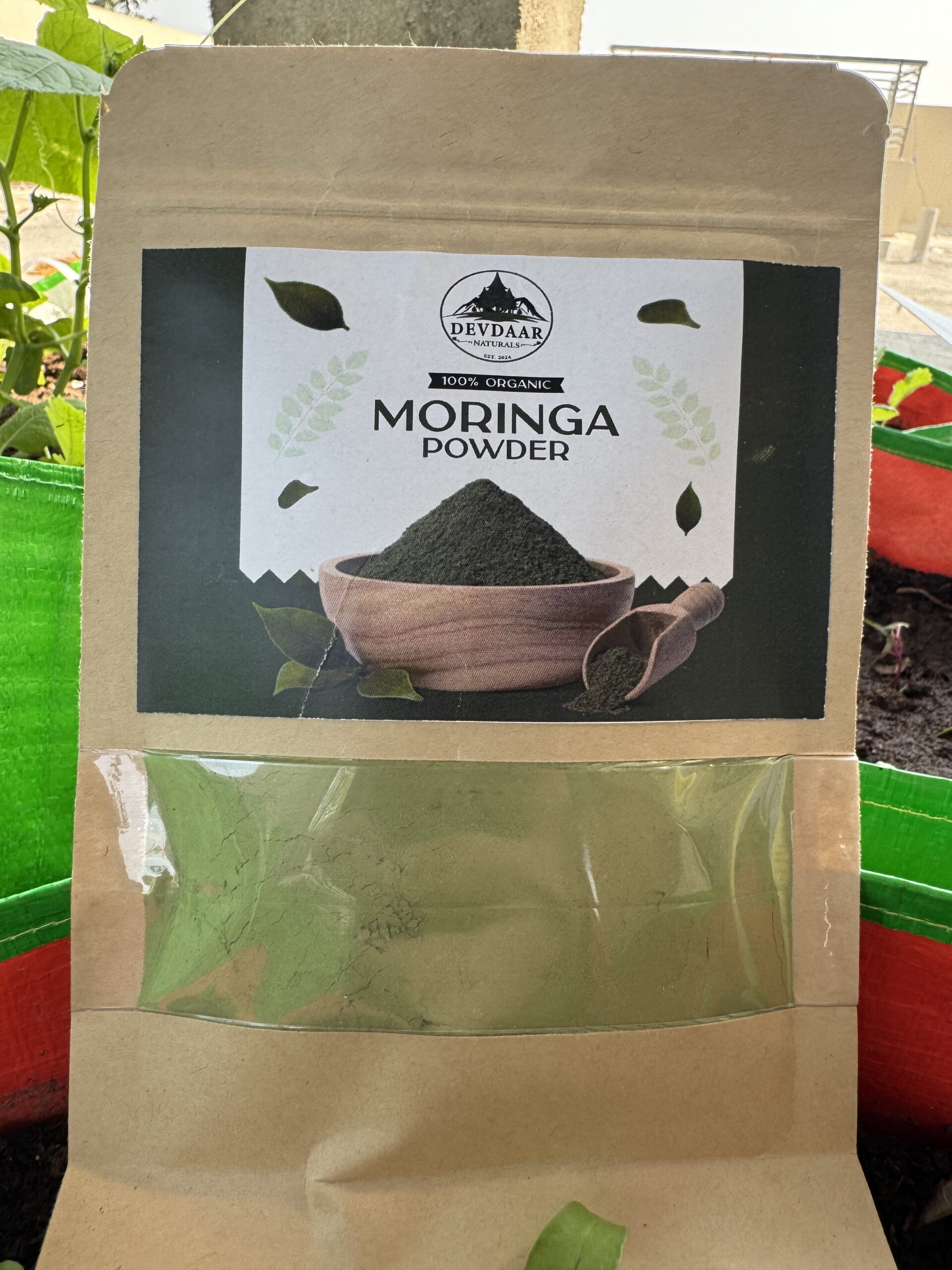 Premium Moringa