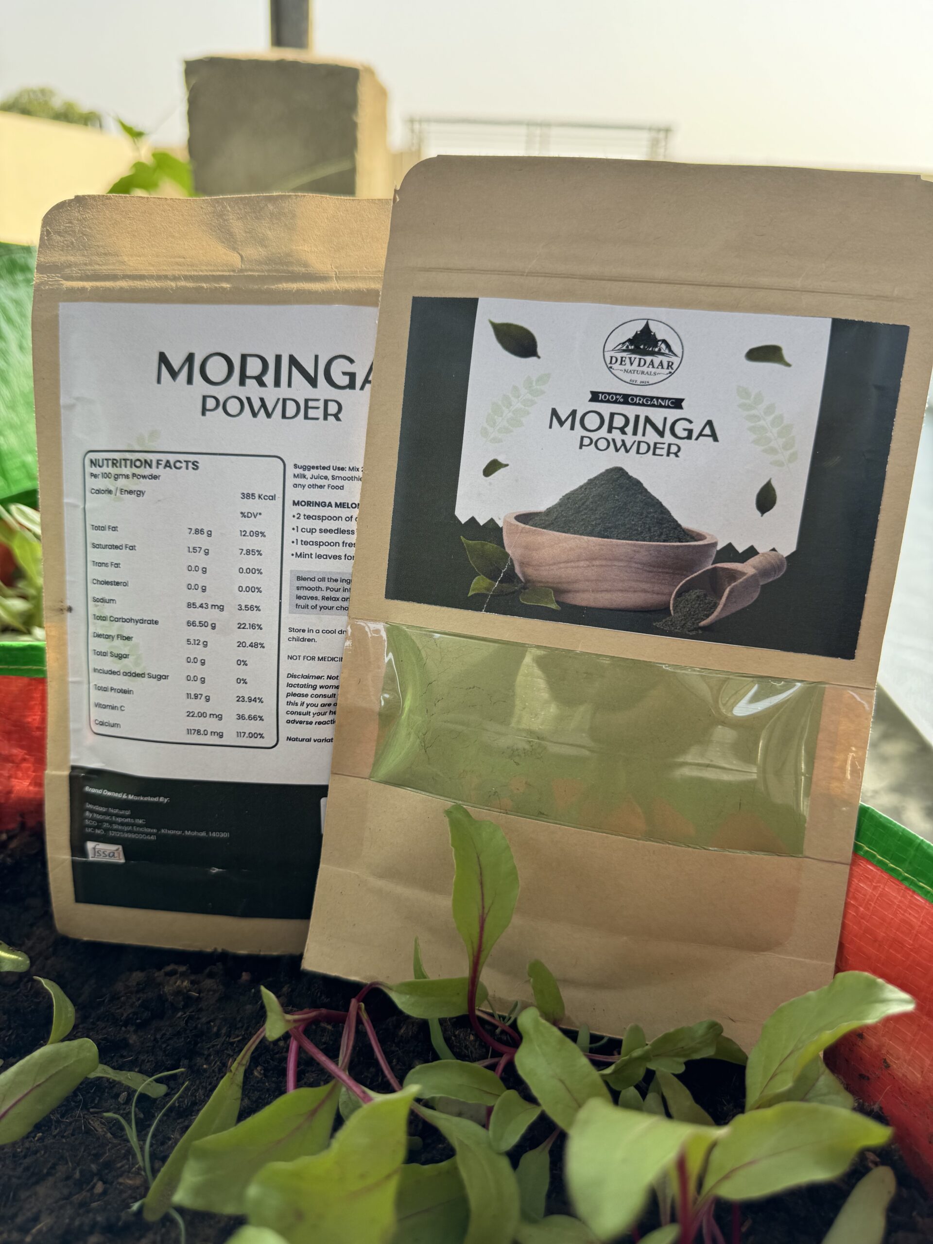 Moringa Powder Close-up