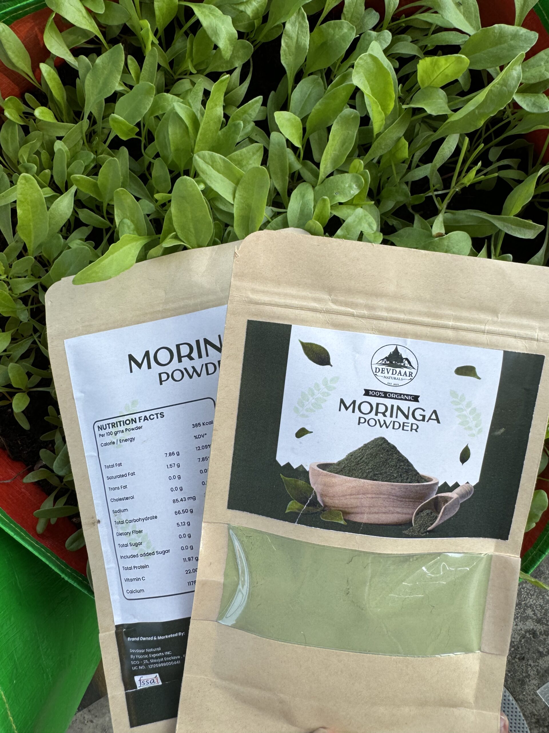 Moringa Benefits