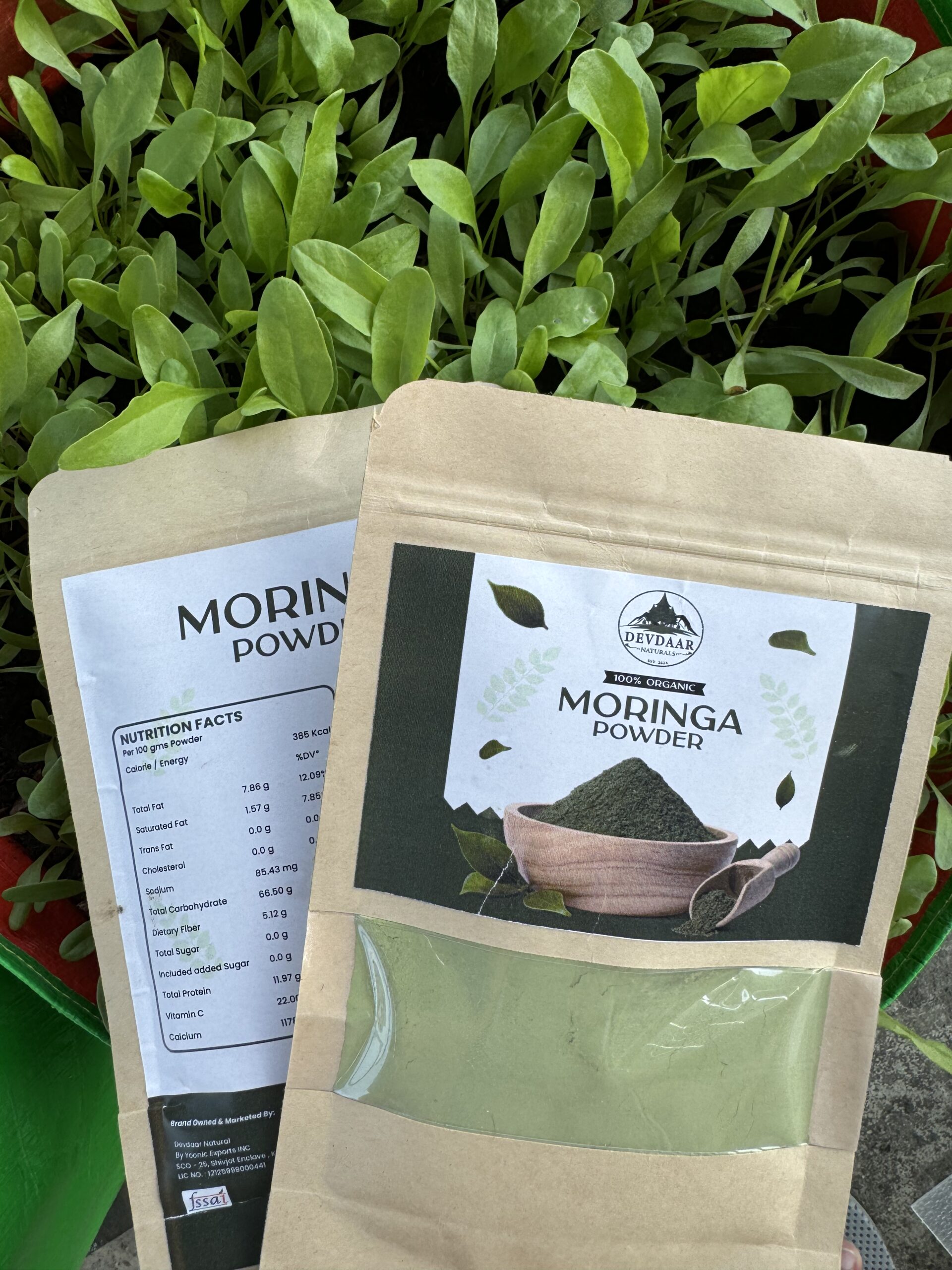 Fresh Moringa